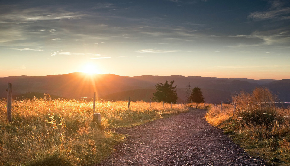 Eine schöne Aussicht aus dem Schwarzwald